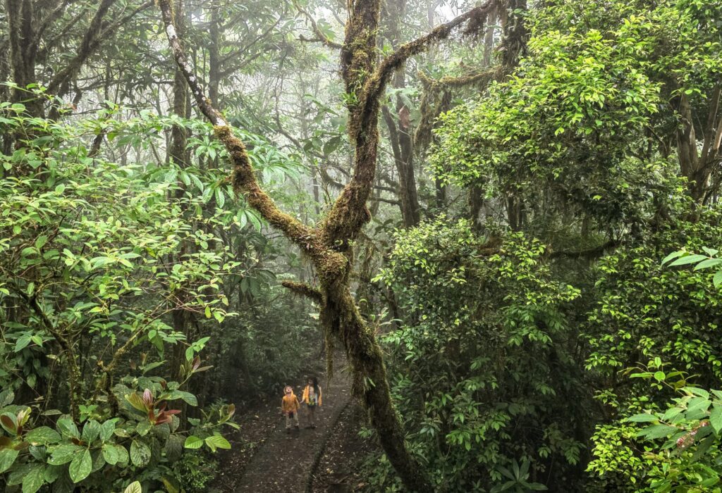 Dry Season or Wet Season in Costa Rica - What to expect