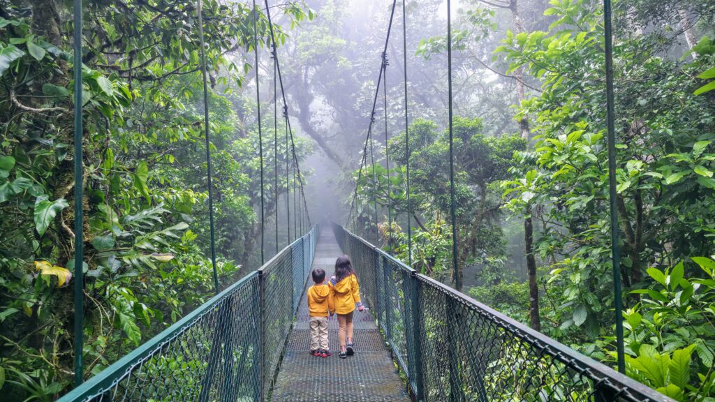 Best experiences in Costa Rica with kids - Hiking through Monteverde's Cloud Forests