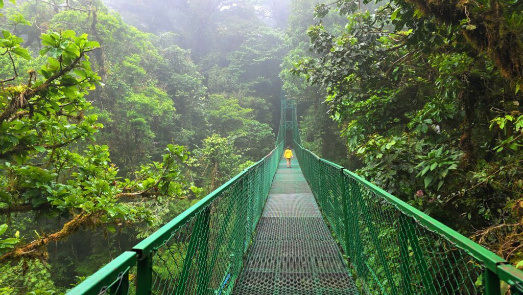 Costa Rica Itinerary - Hanging bridges in the Cloud Forest of Monteverde