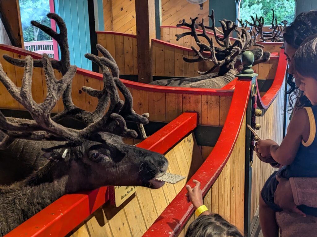 New Hampshire with kids -Feeding live Reindeer at Santa's Village