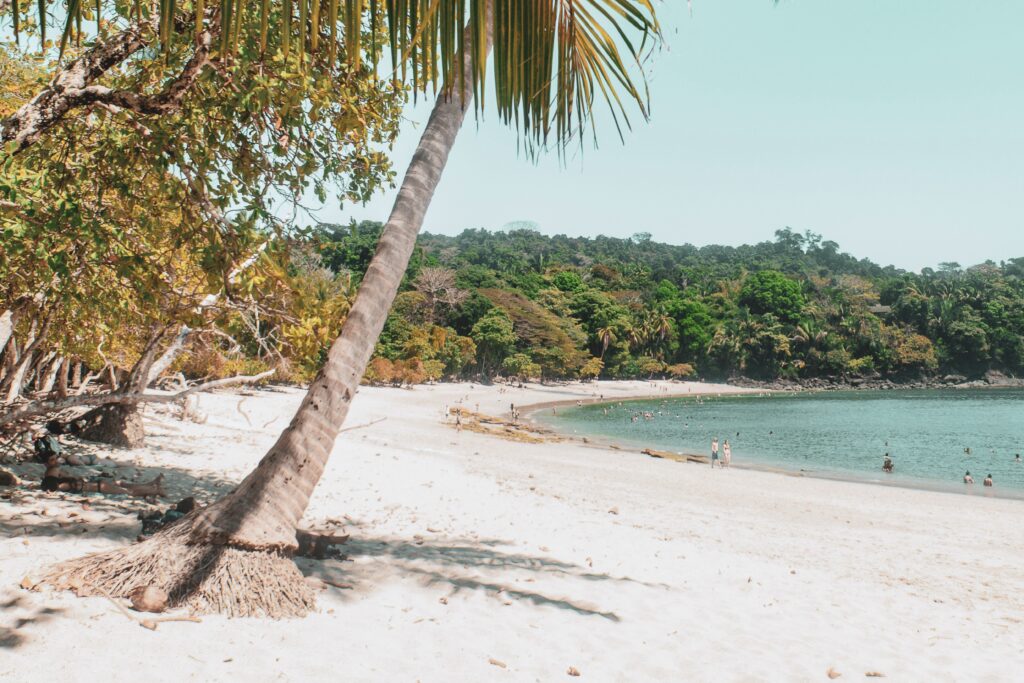Liberia or San Jose - Beaches closer to San Jose like Manuel Antonio have year-round greenery