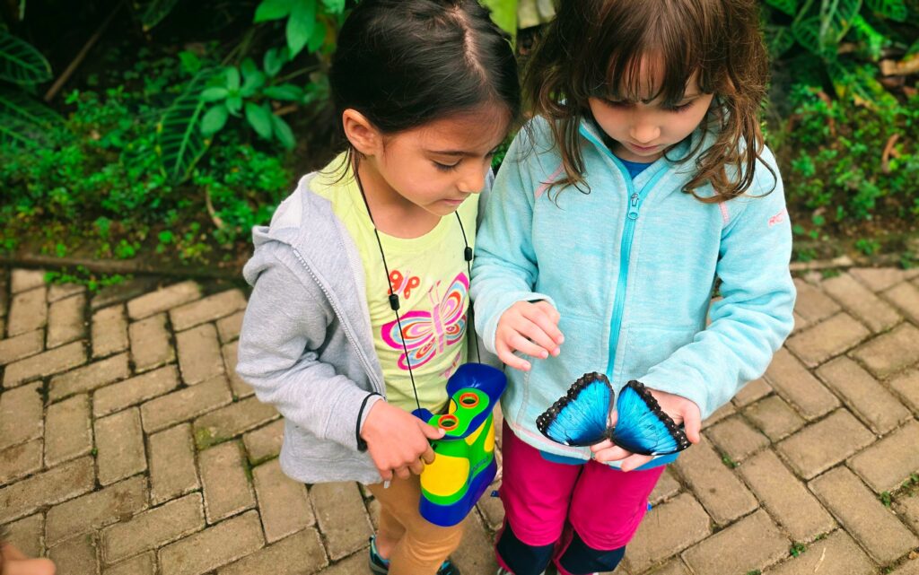 Holding a Blue Morpho Butterfly in Monteverde