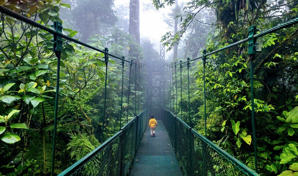 All Places to go in Costa Rica - Crossing a hanging bridge in Monteverde's virgin cloud forest